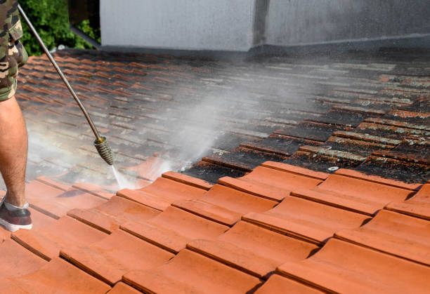 Best Pressure Washing Near Me  in Lmdale, PA